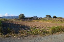 For Sale land in Limassol - properties in Cyprus