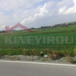 Investment property in Larnaca - Land in Livadia - properties in Cyprus