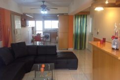 Rented Apartment in Faneromeni Larnaca - Larnaca properties