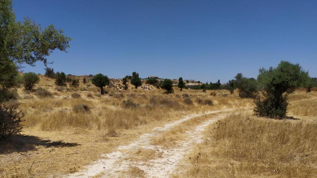 Field in Analiontas, Nicosia