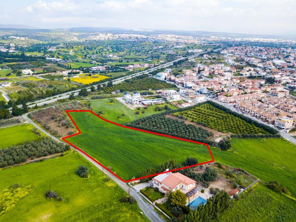 Shared field in Kolossi, Limassol