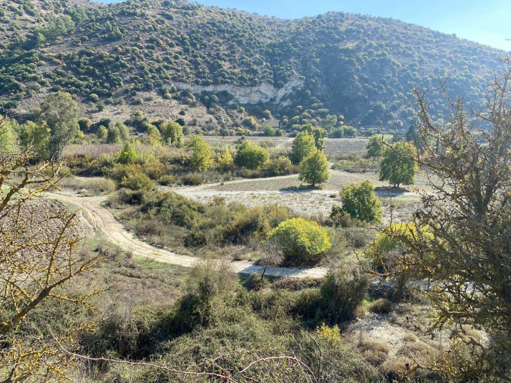 Shared field in Pitargou, Paphos