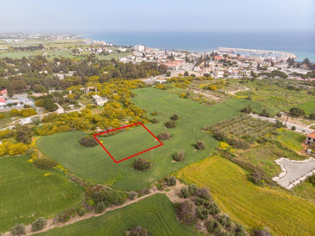 Field in Zygi, Larnaca