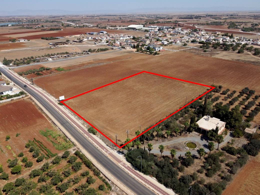 Shared field in Avgorou, Famagusta