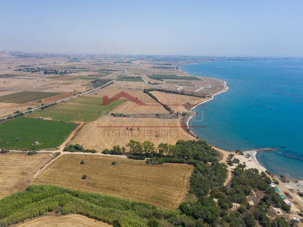 3 beachfront fields in Mazotos,Larnaca