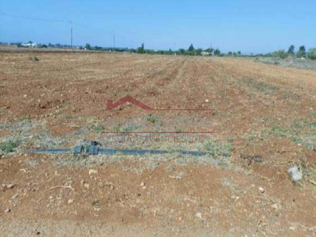 Agricultural field in Avgrou,Famagousta