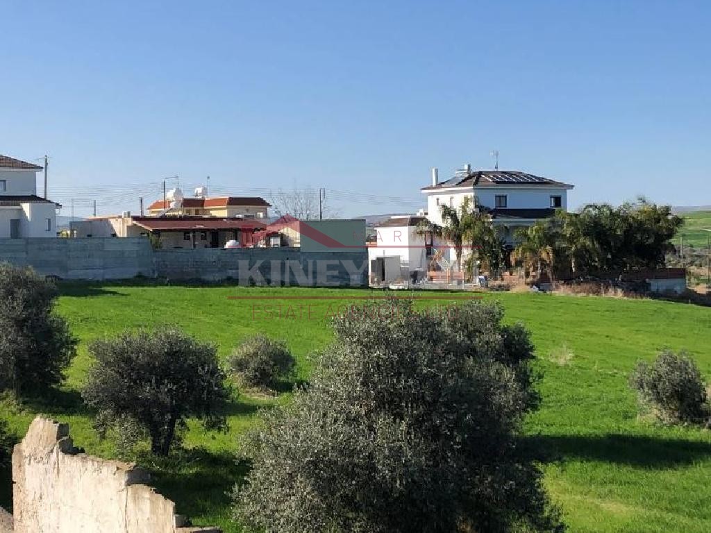 field in Aradippou, in Larnaca