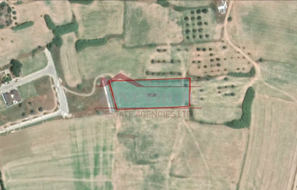 field in Oroklini, in Larnaca