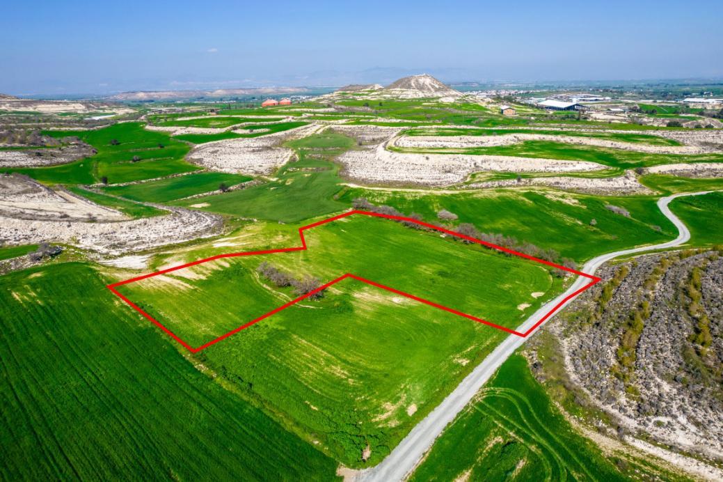 Shared field in Athienou, Larnaca