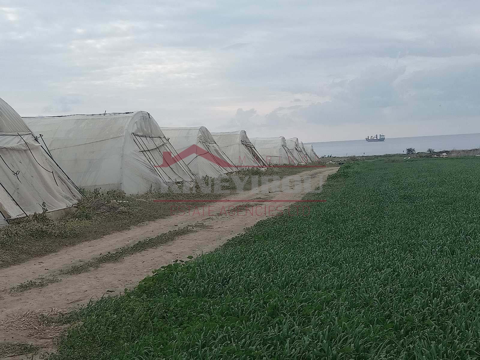 Field in Maroni area, Larnaca.