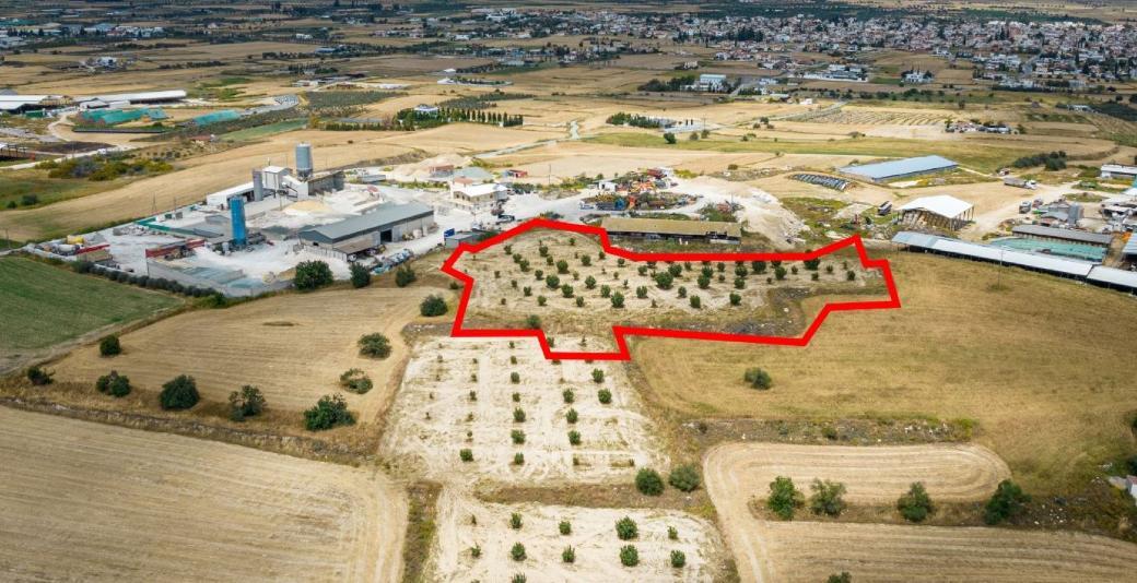 Shared field in Athienou Municipality, Larnaca