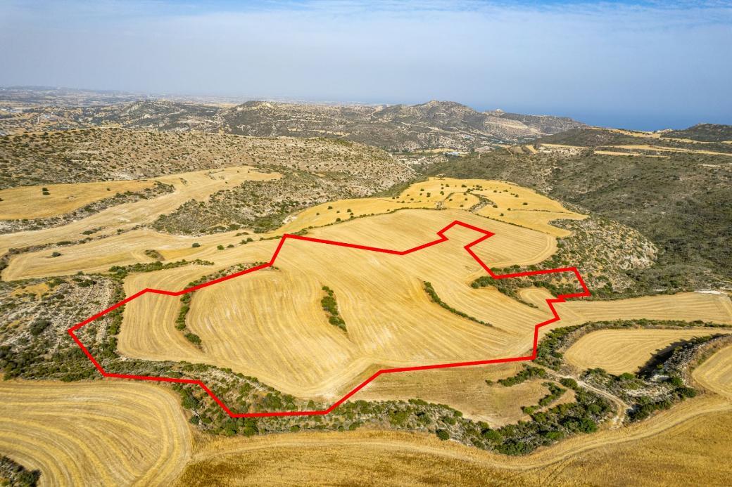 Shared field in Choirokoitia, Larnaca